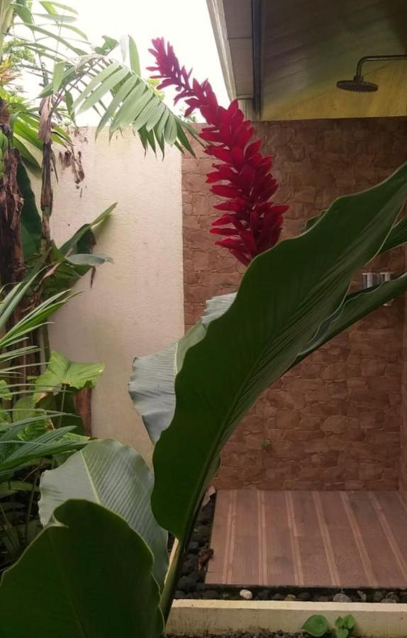 Tropical Suites & Villas La Fortuna Luaran gambar